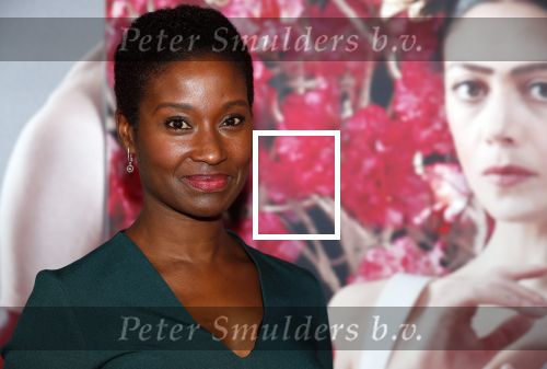 Amsterdam 6 februari 2020
Premiere Frida van het nationaal ballet in de Stopera. Milouska Meulens en Joris Marseille