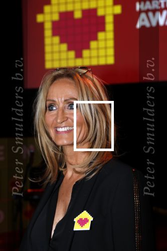 Amsterdam 29 januari 2020
Gala van het vergeten kind bij de westergasfabriek. Natasja Froger en Jamai Loman presenteren het gala