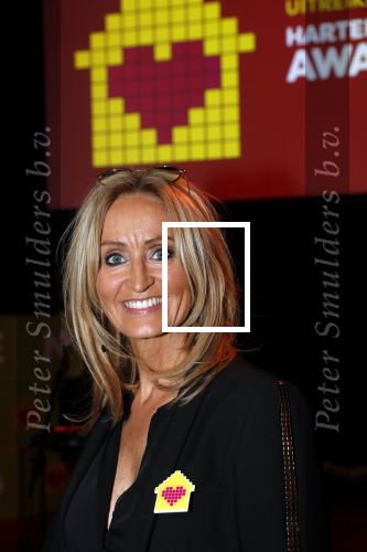 Amsterdam 29 januari 2020
Gala van het vergeten kind bij de westergasfabriek. Natasja Froger en Jamai Loman presenteren het gala