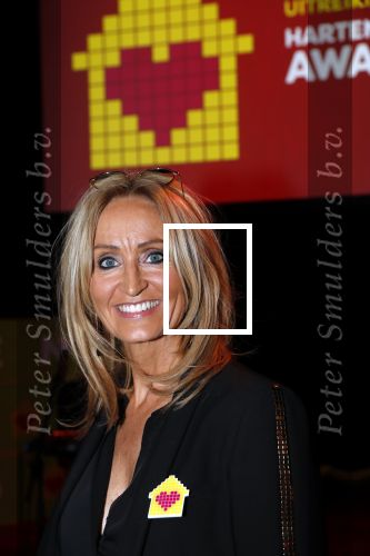 Amsterdam 29 januari 2020
Gala van het vergeten kind bij de westergasfabriek. Natasja Froger en Jamai Loman presenteren het gala