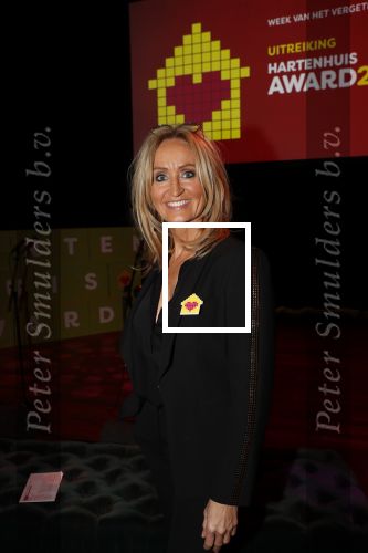 Amsterdam 29 januari 2020
Gala van het vergeten kind bij de westergasfabriek. Natasja Froger en Jamai Loman presenteren het gala