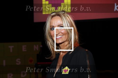 Amsterdam 29 januari 2020
Gala van het vergeten kind bij de westergasfabriek. Natasja Froger en Jamai Loman presenteren het gala