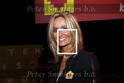 Amsterdam 29 januari 2020
Gala van het vergeten kind bij de westergasfabriek. Natasja Froger en Jamai Loman presenteren het gala