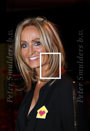 Amsterdam 29 januari 2020
Gala van het vergeten kind bij de westergasfabriek. Natasja Froger en Jamai Loman presenteren het gala