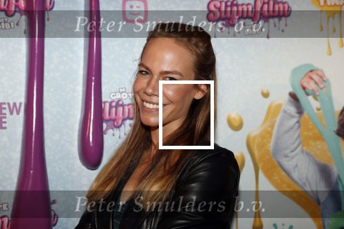 Amsterdam 2 februari 2020
Premiere de Grote slijmfilm in pathe arena. Nicolette Kluijver kwam met twee dochters