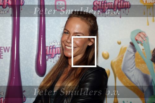 Amsterdam 2 februari 2020
Premiere de Grote slijmfilm in pathe arena. Nicolette Kluijver kwam met twee dochters