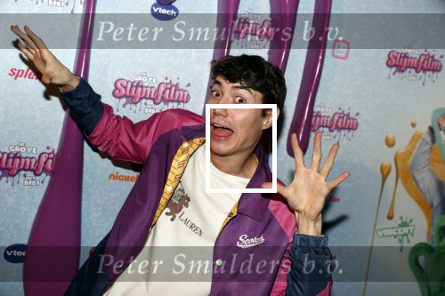 Amsterdam 2 februari 2020
Premiere de Grote slijmfilm in pathe arena.  Niek Roozen met â€¦