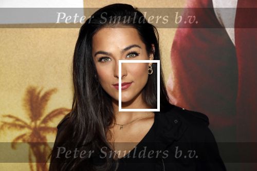 Amsterdam 20 januari 2020
Premiere Bad Boys for life in pathe Arena. Nochtli Peralta Alvarez kwam met haar vreind