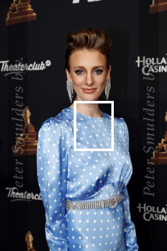 Amsterdam 22 januari 2020
Musicalgala in de Rai. Noortje Herlaar