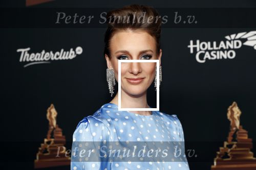 Amsterdam 22 januari 2020
Musicalgala in de Rai. Noortje Herlaar