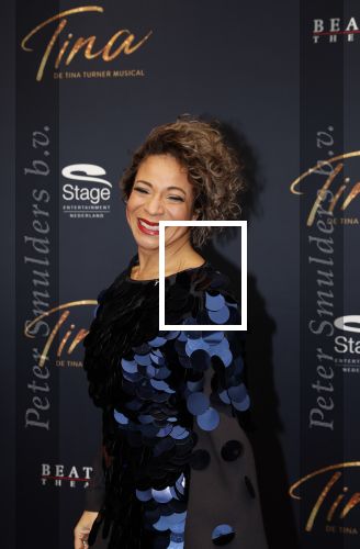 Utrecht 9 februari 2020
Premiere Tina Turner musical in het Beatrix Theater. Nurlaila kwam met jaar kinderen