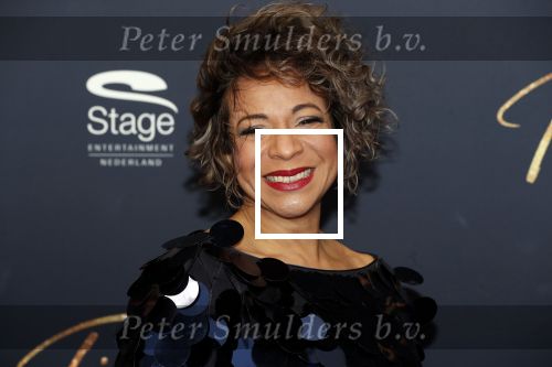 Utrecht 9 februari 2020
Premiere Tina Turner musical in het Beatrix Theater. Nurlaila kwam met jaar kinderen