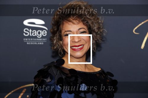 Utrecht 9 februari 2020
Premiere Tina Turner musical in het Beatrix Theater.
Nurlaila Karim