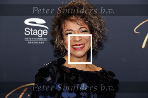 Utrecht 9 februari 2020
Premiere Tina Turner musical in het Beatrix Theater.
Nurlaila Karim