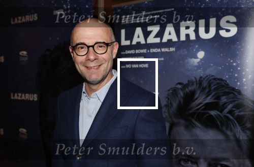 Amsterdam 12 februari 2020
Premiere Lazarus in het nieuwe deLaMar theater. Owen Schumacher