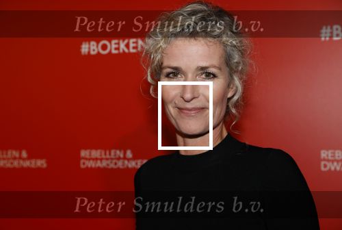 Amsterdam 6 maart 2020
Boekenbal 2020 in de koninklijke schouwburg. Patricia Snel