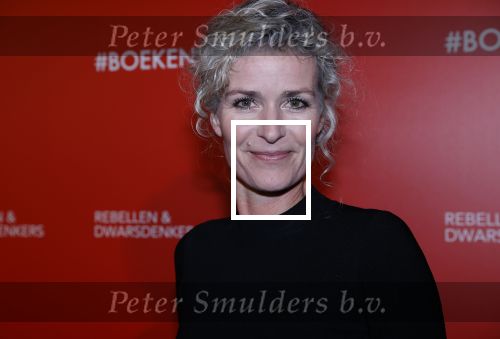 Amsterdam 6 maart 2020
Boekenbal 2020 in de koninklijke schouwburg. Patricia Snel