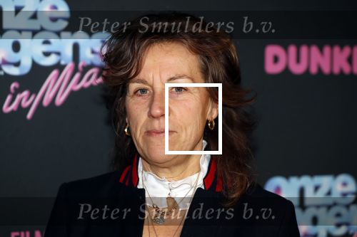 Amsterdam 27 januari 2020
Premiere Onze Jongens in Miami in Tuschinski.