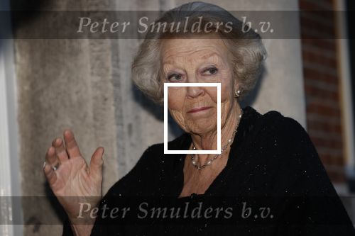 Delft 4 maart 2020
Uitreiking prins Friso prijs in aanwezigheid vaan Prinses Mabel , haar moeder en prinses Beatrix