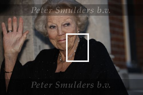 Delft 4 maart 2020
Uitreiking prins Friso prijs in aanwezigheid vaan Prinses Mabel , haar moeder en prinses Beatrix