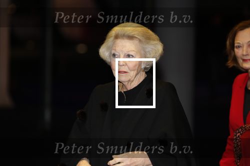 Amsterdam 23 januari 2020
Jumping Amsterdam in de Rai. Prinses Beatrix en Tjalling ten cate op de tribune