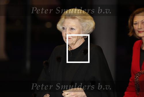 Amsterdam 23 januari 2020
Jumping Amsterdam in de Rai. Prinses Beatrix en Tjalling ten cate op de tribune