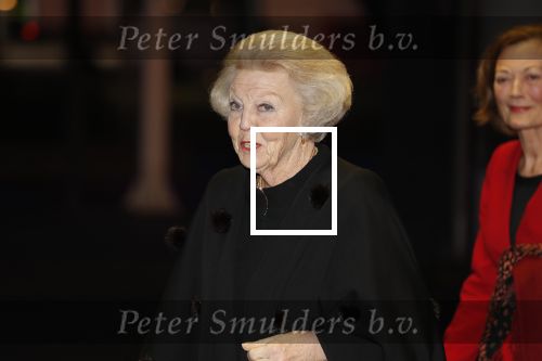 Amsterdam 23 januari 2020
Jumping Amsterdam in de Rai. Prinses Beatrix en Tjalling ten cate op de tribune