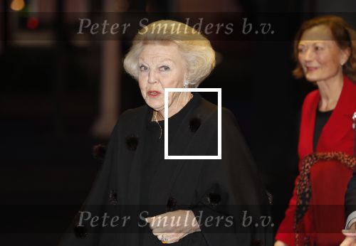 Amsterdam 23 januari 2020
Jumping Amsterdam in de Rai. Prinses Beatrix en Tjalling ten cate op de tribune