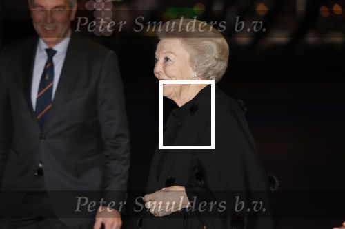 Amsterdam 23 januari 2020
Jumping Amsterdam in de Rai. Prinses Beatrix en Tjalling ten cate op de tribune