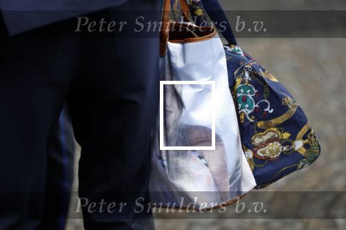 Amsterdam 15 januari 2020
Tweede dag van de nieuwjaarsreceptie in paleis op de dam .Koning Willem Alexander Koningin Maxima en Prinses Beatrix zijn aanwezig. Tas Beatrix met Amalia Alexia er Ariane erop
