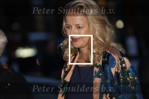 Delft 4 maart 2020
Uitreiking prins Friso prijs in aanwezigheid vaan Prinses Mabel , haar moeder en prinses Beatrix
