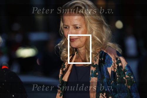 Delft 4 maart 2020
Uitreiking prins Friso prijs in aanwezigheid vaan Prinses Mabel , haar moeder en prinses Beatrix
