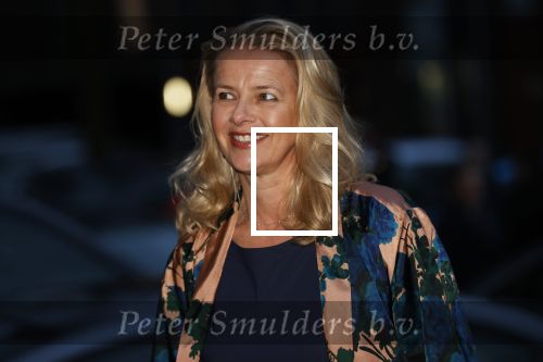 Delft 4 maart 2020
Uitreiking prins Friso prijs in aanwezigheid vaan Prinses Mabel , haar moeder en prinses Beatrix