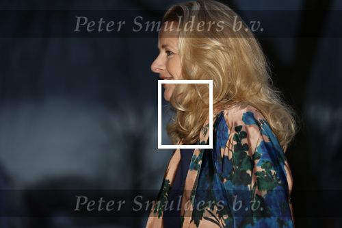 Delft 4 maart 2020
Uitreiking prins Friso prijs in aanwezigheid vaan Prinses Mabel , haar moeder en prinses Beatrix