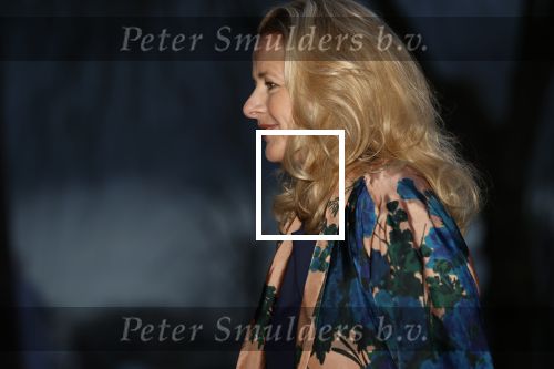Delft 4 maart 2020
Uitreiking prins Friso prijs in aanwezigheid vaan Prinses Mabel , haar moeder en prinses Beatrix