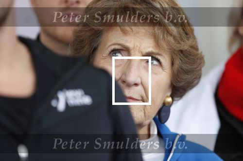Amsterdam 4 februari 2020
Perspresentatie Hollandse 100 voor Lymph&Co op de Jaap Eden schaatsbaan.
Prins Bernahrd jr en Prinses Margriet zijn ook aanwezig.