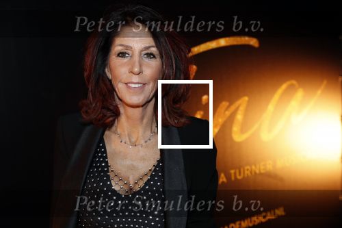 Utrecht 9 februari 2020
Premiere Tina Turner musical in het Beatrix Theater. Rachel Hazes kwam met vriend Mike en Nino Wilkes