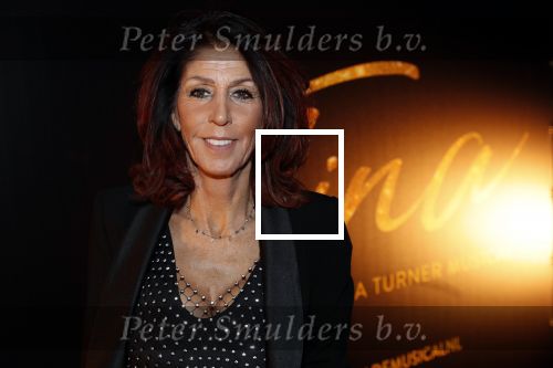 Utrecht 9 februari 2020
Premiere Tina Turner musical in het Beatrix Theater. Rachel Hazes kwam met vriend Mike en Nino Wilkes
