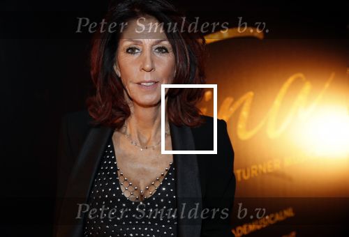 Utrecht 9 februari 2020
Premiere Tina Turner musical in het Beatrix Theater. Rachel Hazes kwam met vriend Mike en Nino Wilkes