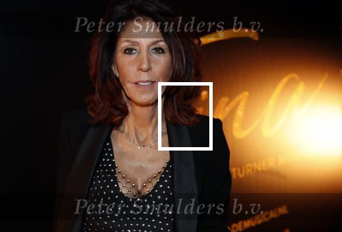 Utrecht 9 februari 2020
Premiere Tina Turner musical in het Beatrix Theater. Rachel Hazes kwam met vriend Mike en Nino Wilkes