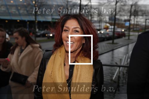 Lelystad 15 januari 2020
Rechtszaak Rossana Kluivert en haar zoon Nino Wilkes tegen het tv programma Tros Opgelicht bij de rechtbank in Lelystad. Rachel Hazes
