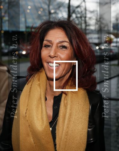 Lelystad 15 januari 2020
Rechtszaak Rossana Kluivert en haar zoon Nino Wilkes tegen het tv programma Tros Opgelicht bij de rechtbank in Lelystad. Rachel Hazes