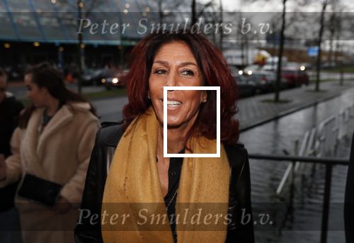Lelystad 15 januari 2020
Rechtszaak Rossana Kluivert en haar zoon Nino Wilkes tegen het tv programma Tros Opgelicht bij de rechtbank in Lelystad. Rachel Hazes