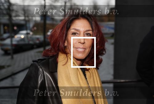 Lelystad 15 januari 2020
Rechtszaak Rossana Kluivert en haar zoon Nino Wilkes tegen het tv programma Tros Opgelicht bij de rechtbank in Lelystad. Rachel Hazes