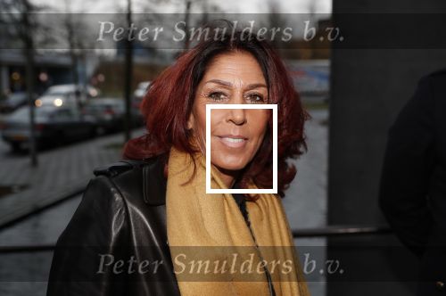 Lelystad 15 januari 2020
Rechtszaak Rossana Kluivert en haar zoon Nino Wilkes tegen het tv programma Tros Opgelicht bij de rechtbank in Lelystad. Rachel Hazes