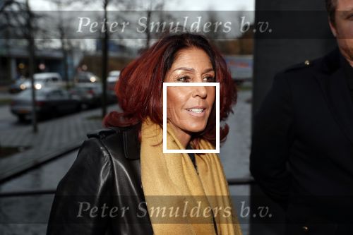 Lelystad 15 januari 2020
Rechtszaak Rossana Kluivert en haar zoon Nino Wilkes tegen het tv programma Tros Opgelicht bij de rechtbank in Lelystad. Rachel Hazes