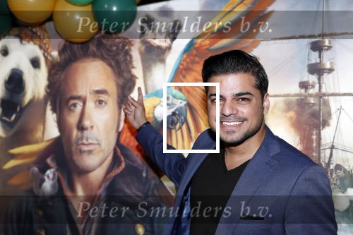 Amsterdam 12 januari 2020
Premiere Dolittle in pathe Arena. Rayen Panday