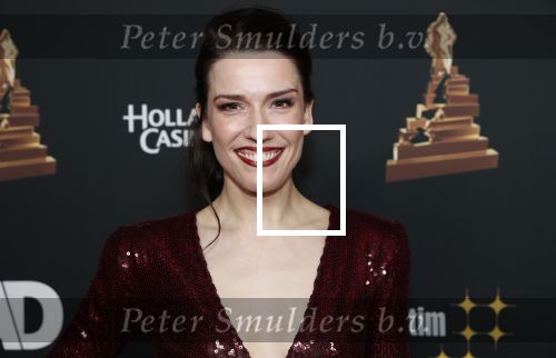 Amsterdam 22 januari 2020
Musicalgala in de Rai. Renee van Wegberg en de cast van Fun Home op de rode loper