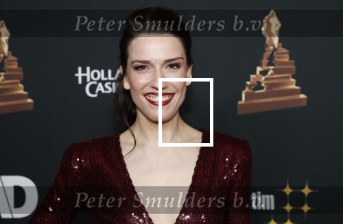 Amsterdam 22 januari 2020
Musicalgala in de Rai. Renee van Wegberg en de cast van Fun Home op de rode loper