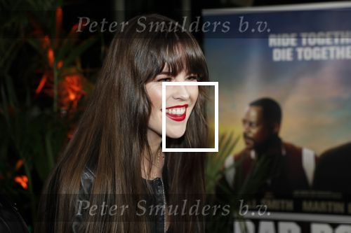 Amsterdam 20 januari 2020
Premiere Bad Boys for life in pathe Arena. Robin Martens kwam met haar zus